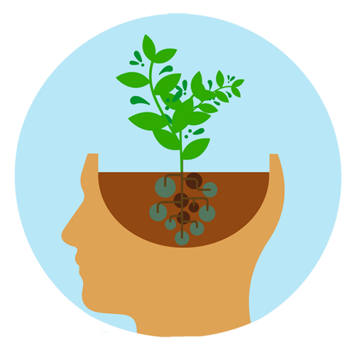 growth mindset